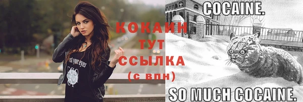 стафф Баксан