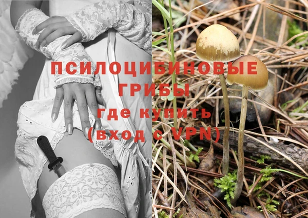 ешки Балахна
